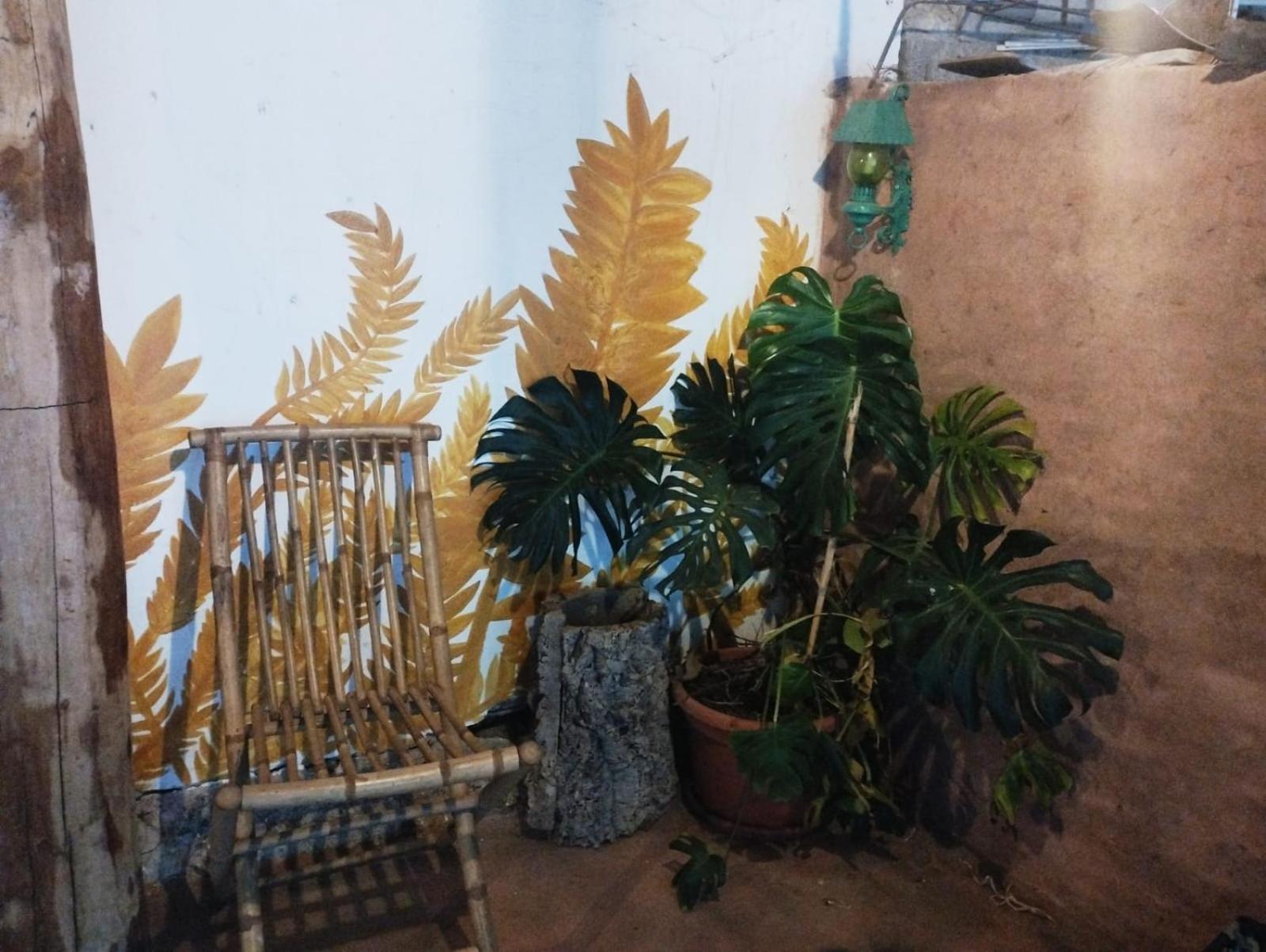 Làconi Country Living School旅馆 外观 照片